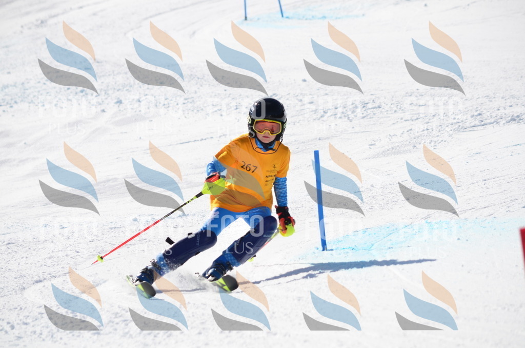 C8563 | holidayphoto