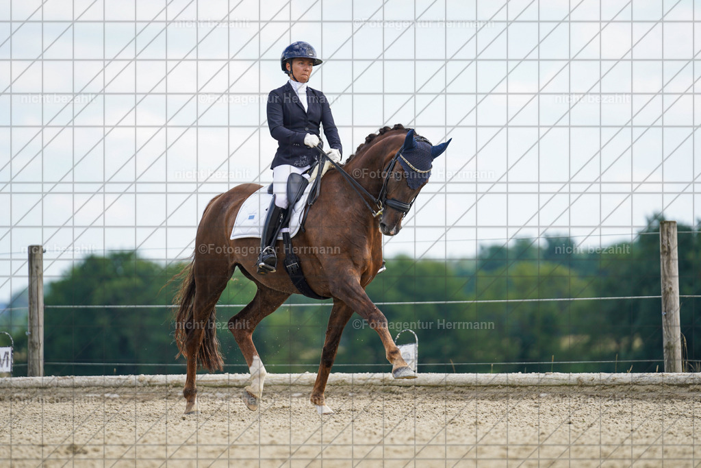 20230826-FAH05801 | Forstinning, 2023, Dressurturnier, Turniersportbilder, Turnierfotografen Bayern, Fotoagentur Herrmann, Reitsportfotografie, Turnierbilder