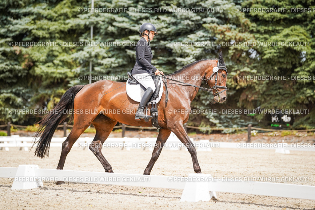 DSC03619 | Pferdegrafie