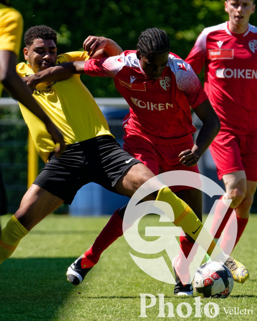 DSC_7415 | Velletri Photo