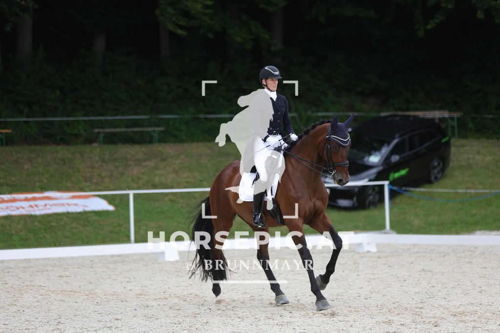 0P6A7183 | Willkommen bei Brunnmayr - Design & Fotografie – Ihrem Spezialisten für Reitturniere und Pferdeveranstaltungen in Oberösterreich, Salzburg und Bayern! Seit über 17 Jahren sind wir leidenschaftlich dabei.