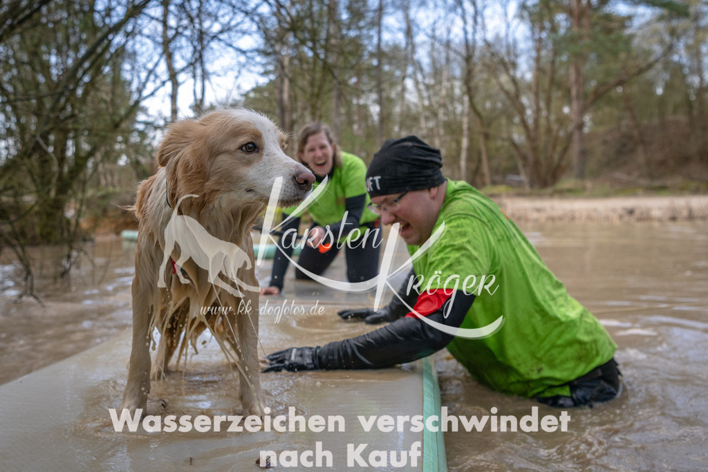 0956_ZZ91873 | kk-dogfotos