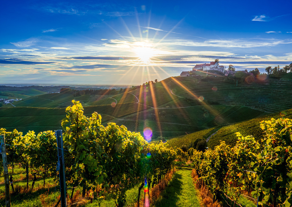 MPI_Sehenswürdigkeiten_0038 | Sonnenstern im Weinberg mit dem Schloss Staufenberg in Durbach - Realisiert mit Pictrs.com