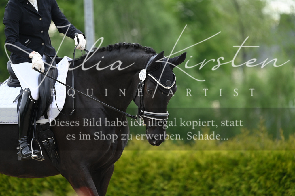 20230512_JK-Röhrsdorf-02-030 | Pferde- und Turnierfotografie in Westsachsen. Pferdeportraits, Auftragszeichnungen und intuitive Kunst.