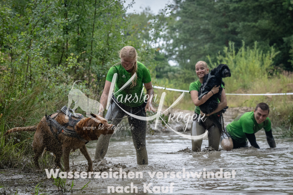 1306_ZZ92854 | kk-dogfotos
