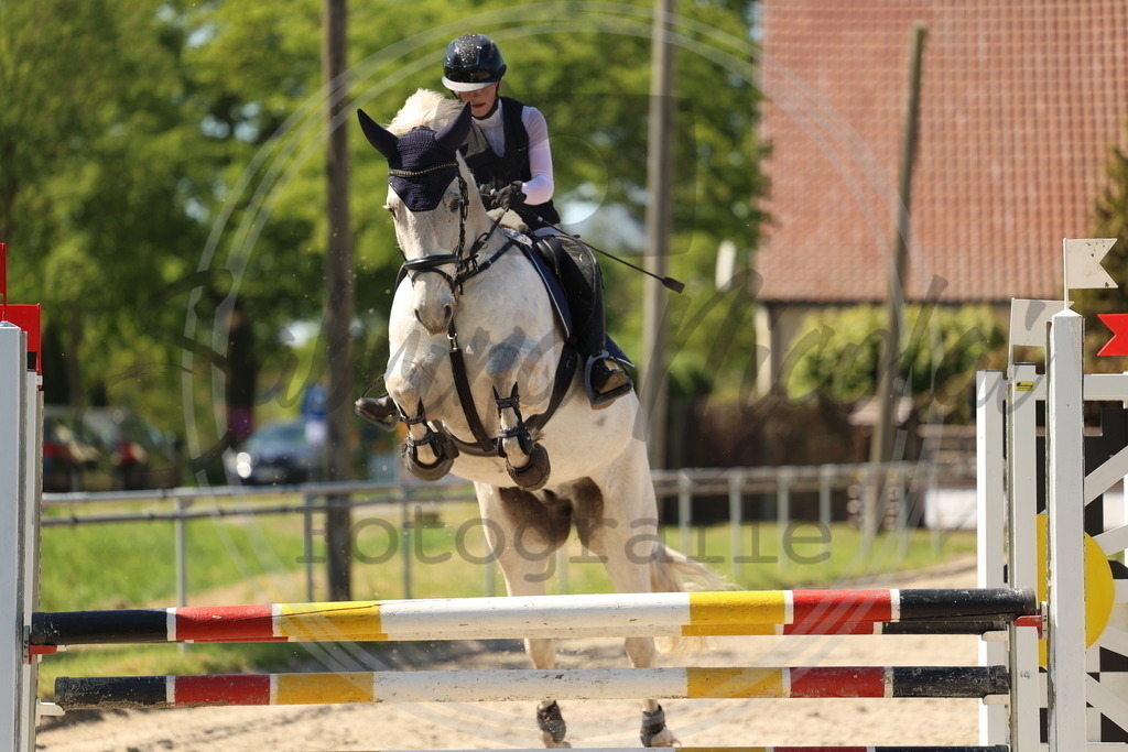 994A5799 | sabrinanicolaifotografie - Realisiert mit Pictrs.com