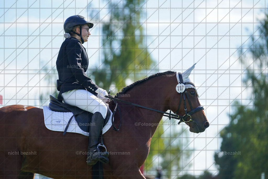 20230917-FAH09349 | Landsberg am Lech, 2023, Kaufbeuren, Kempten, Allgäu, Turnierfotografen Bayern, Fotoagentur Herrmann, Turnierbilder, Reitsport Fotos, Pferdefotograf, Augsburg, Bad Tölz, Dachau, Karlsfeld, Memmingen, Buchloe, Schwabmünchen
