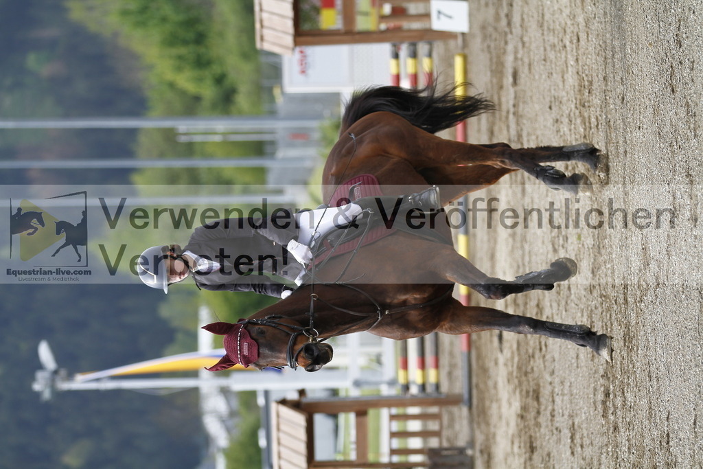 _MG_1334 | equestrian-live-com