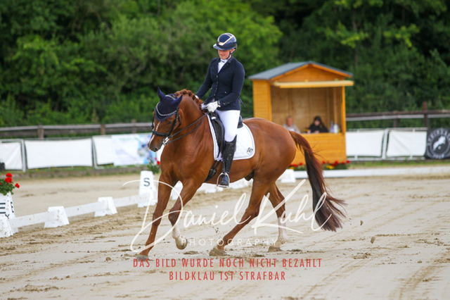 DKP47419 | Turniersportfotografie; Pferdefotografie; Dressurfotografie