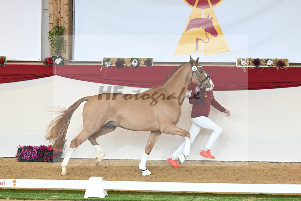 Kat-Nr. 57 Fuerst Samarant_Beckmann_1230585 | hf-fotografie - Realisiert mit Pictrs.com