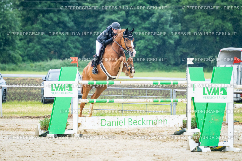 DSC00202 | Pferdegrafie