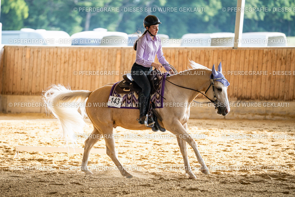 DSC07731 | Pferdegrafie