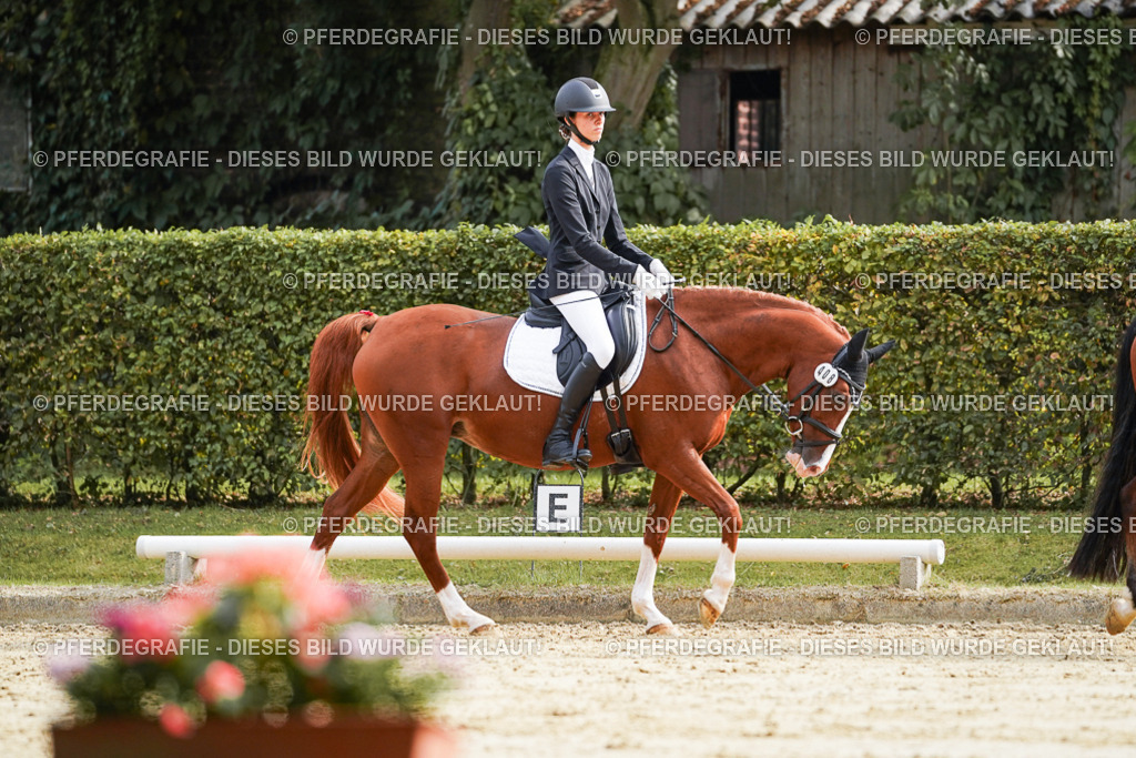 DSC04692 | Pferdegrafie