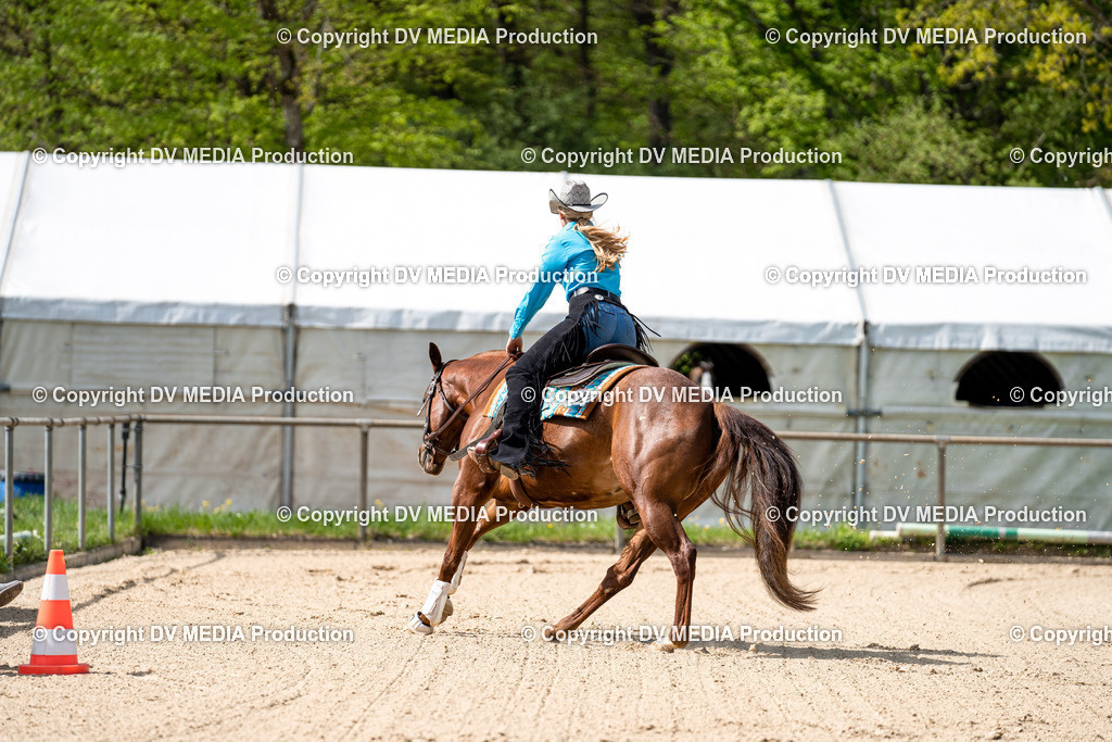 Heiligenwald Tag 2-751 | dv-media-shop - Realisiert mit Pictrs.com