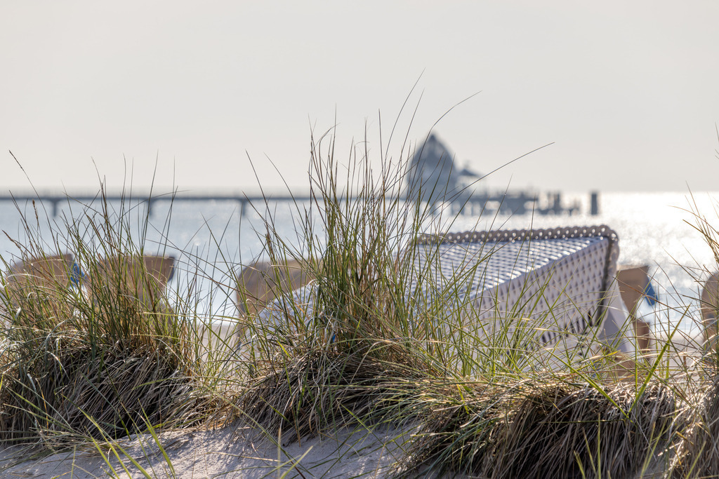 Wandbild: Strandstille mit Seebrückenblick in Grömitz  | Dieses Wandbild zeigt eine ruhige Szene vom Strand in Grömitz. Im Vordergrund wächst hohes Strandgras auf sandigem Boden und verleiht dem Motiv eine natürliche Rahmung. Dahinter sind Strandkörbe zu erkennen, die sich harmonisch in die Küstenlandschaft einfügen. Der Blick führt weiter hinaus auf das Meer, wo sich die Seebrücke von Grömitz elegant ins Wasser erstreckt. Am Ende der Brücke ist ein markantes Bauwerk mit kuppelartigem Dach zu sehen – ein architektonisches Highlight, das dem Bild Tiefe und Charakter verleiht. Die Lichtstimmung deutet auf frühen Morgen oder späten Nachmittag hin und taucht die Szene in sanftes, warmes Licht. Dieses Motiv eignet sich ideal als Wandbild für maritime Wohnkonzepte – ob als Leinwandbild, Acrylglasbild, Alu-Dibond FineArt Print oder als Akustikbild. Ein stilvoller Akzent für Wohnzimmer, Büro oder Ferienwohnung. - Realisiert mit Pictrs.com