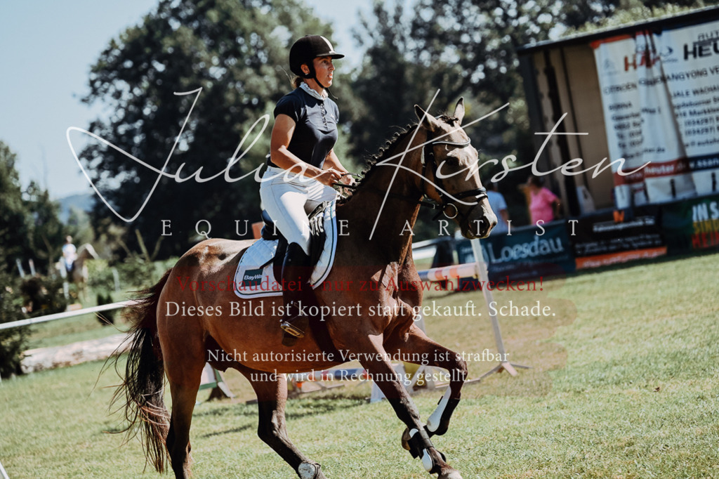 DSC_5932 | Pferde- und Turnierfotografie in Westsachsen. Pferdeportraits, Auftragszeichnungen und intuitive Kunst.