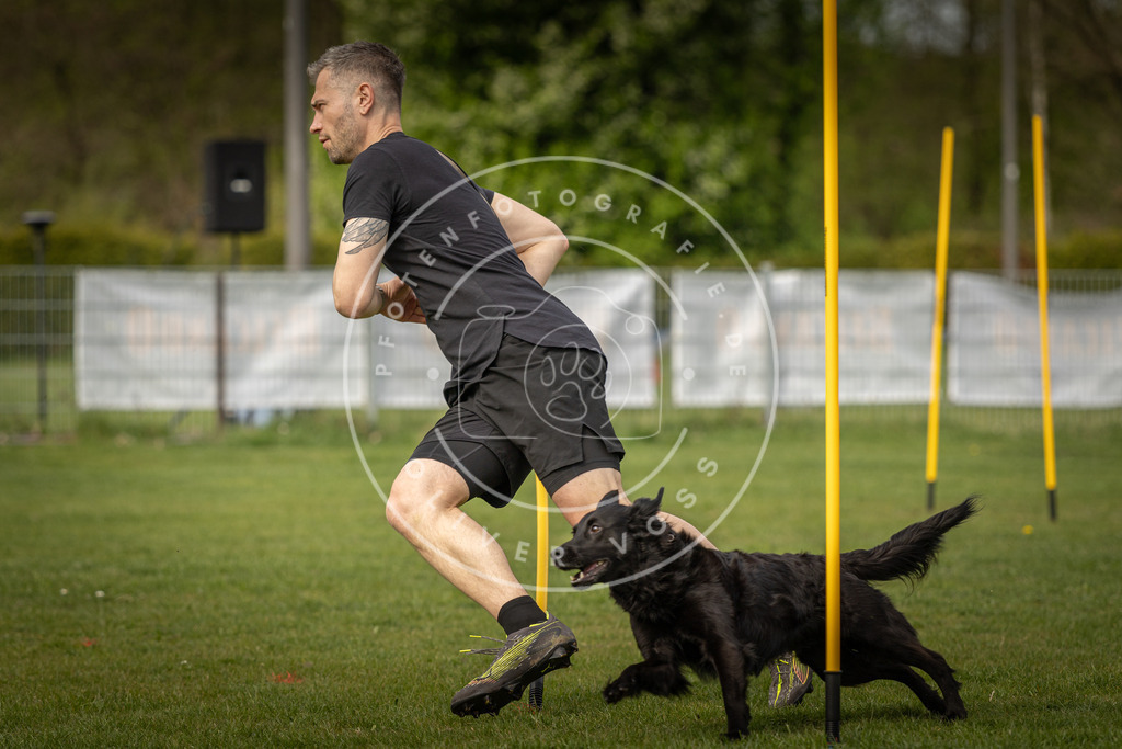 Pfotenfotografie_DV3A5263 | Hundefotografie, Tierfotograf, Pfotenfotografie, Fotoshooting Hund, Hunde Portrait, Hundesport, Hundeportraits, Heideshooting, Hunde, Sportfotograf, Hundefotograf, Turnierhundsport, THS,  - Realisiert mit Pictrs.com