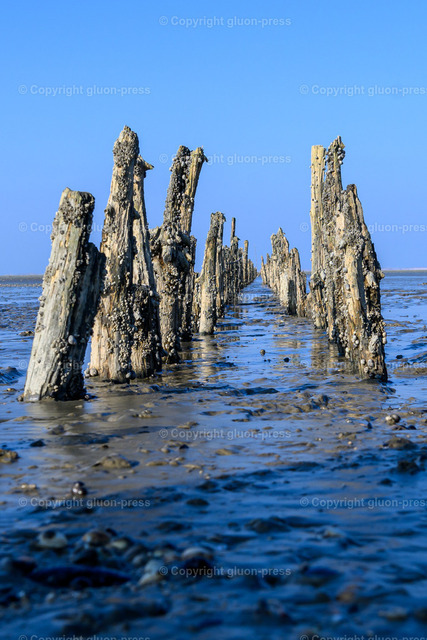 Foto-9012893-DE-Wilhelmshaven-shop-max | gluon-press - Realisiert mit Pictrs.com