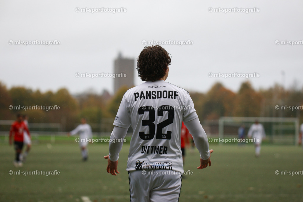 Fußball I Herren I Saison 2025/2026 I Landesliga Holstein I 14. Spieltag I SVT Bad Oldesloe - TSV Pansdorf | ml-sportfotografie - Realisiert mit Pictrs.com