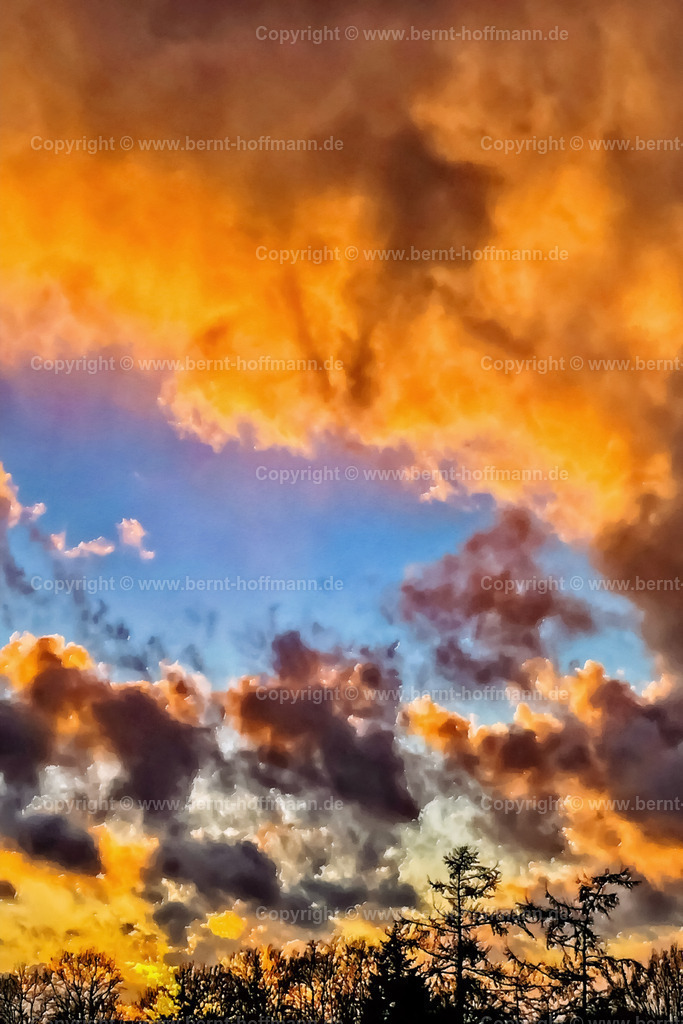 PDM2_HF-Abend-002_80x120 | DIGITALKUNST. Himmlische Aussichten - Abendimpression. __ Dämmerungsfarben in Wolken hinter zwei Lärchen. - Realisiert mit Pictrs.com