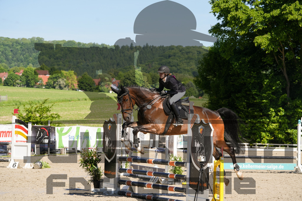 DSC02149 | Julian Held Fotografie - Realisiert mit Pictrs.com