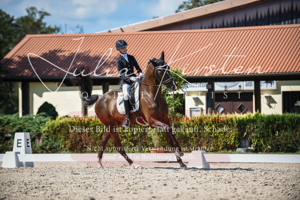 DSC_9602 | Pferde- und Turnierfotografie in Westsachsen. Pferdeportraits, Auftragszeichnungen und intuitive Kunst.
