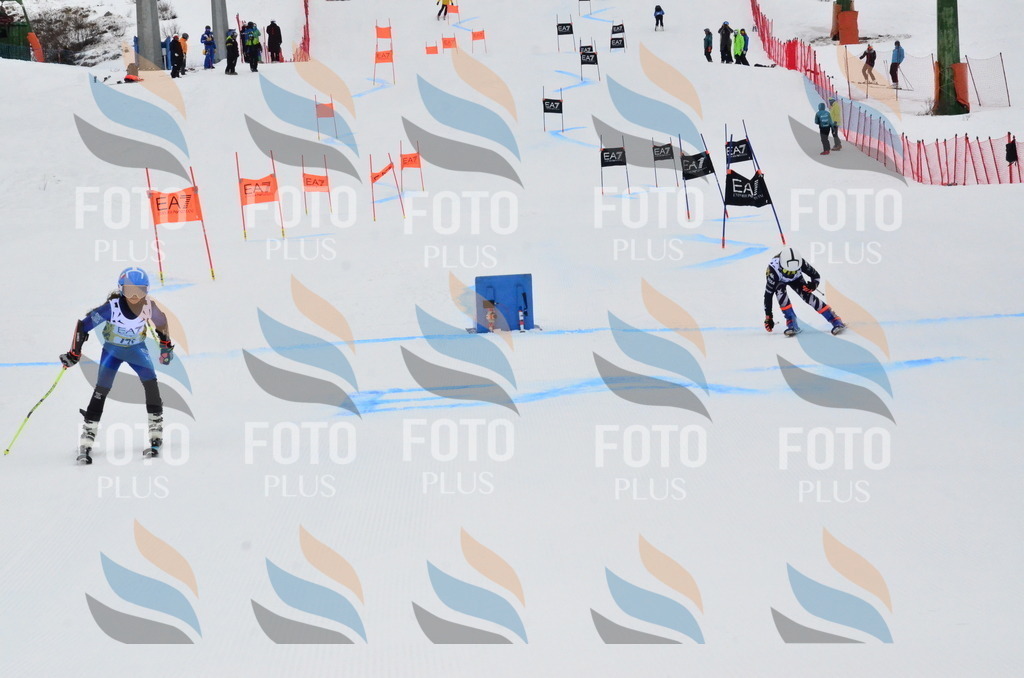 _ELE3713 | holidayphoto