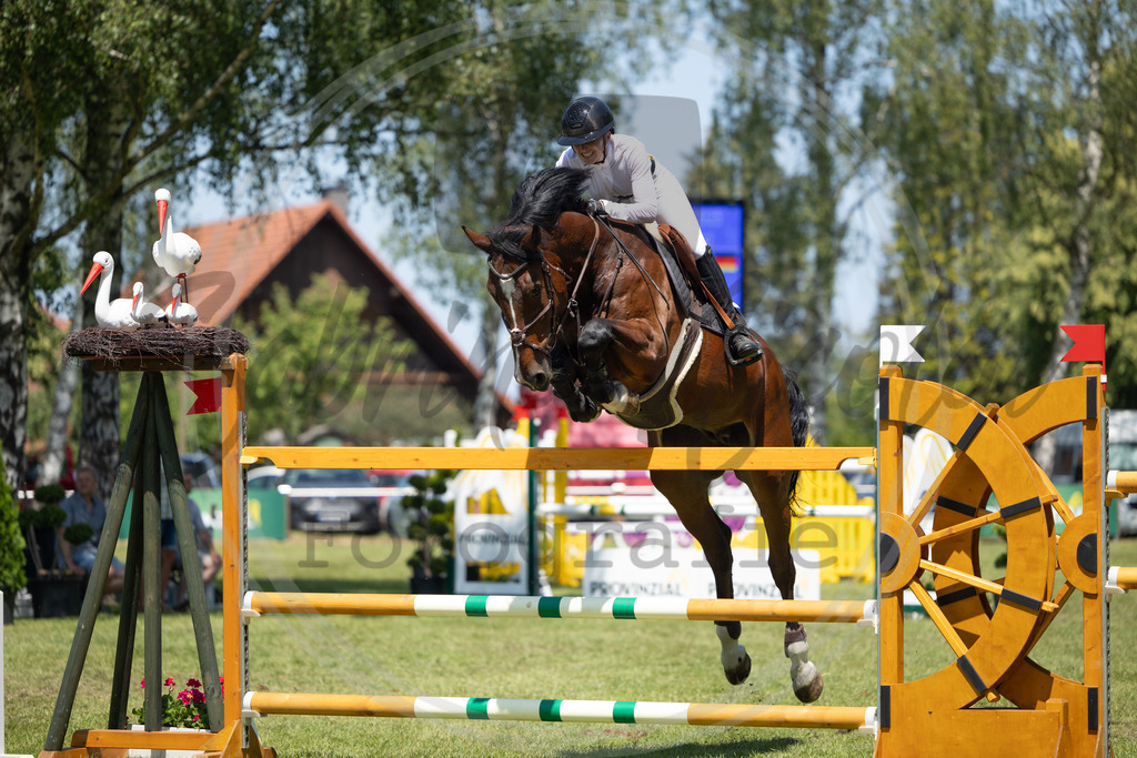 994A3898 | sabrinanicolaifotografie - Realisiert mit Pictrs.com