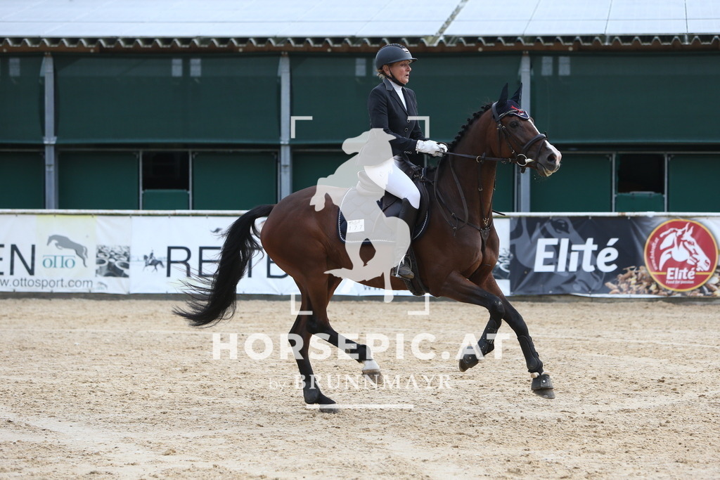 DL2Q0353 | Willkommen bei Brunnmayr - Design & Fotografie – Ihrem Spezialisten für Reitturniere und Pferdeveranstaltungen in Oberösterreich, Salzburg und Bayern! Seit über 17 Jahren sind wir leidenschaftlich dabei.