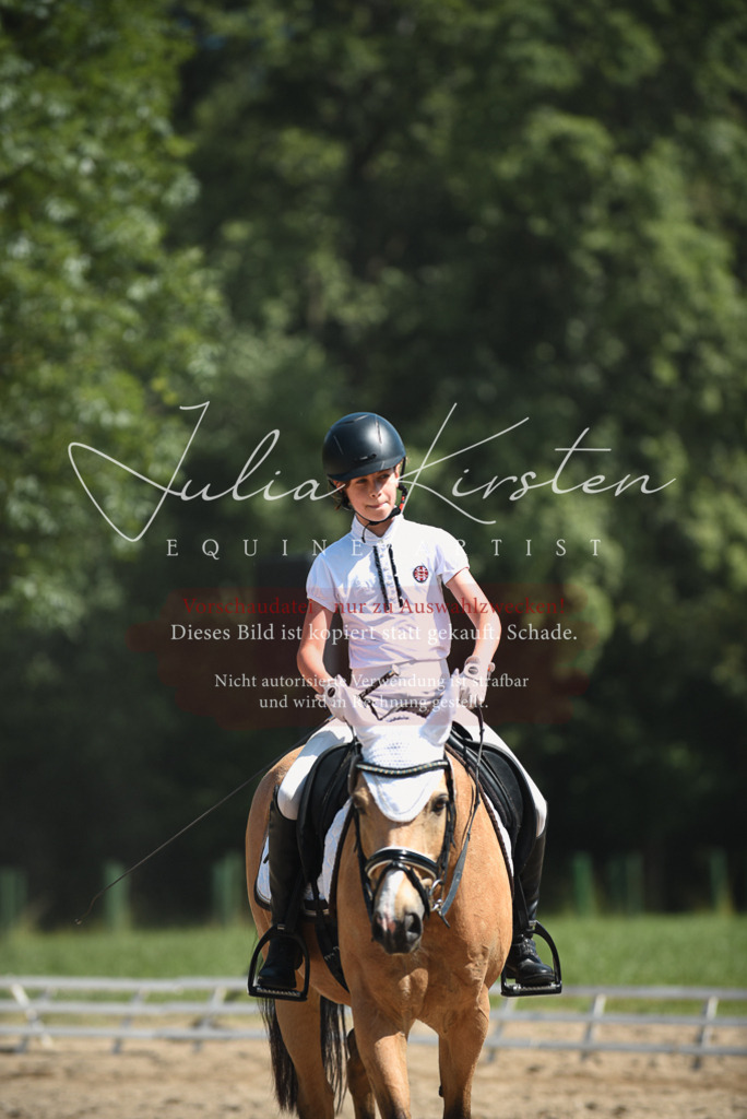 DSC_2546 | Pferde- und Turnierfotografie in Westsachsen. Pferdeportraits, Auftragszeichnungen und intuitive Kunst.