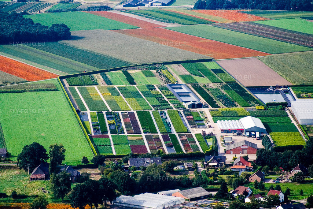 Vue aérienne: Sur la Meuse (NL) à Hasselt dans le département Limbourg, Pays-Bas – .Photo: IMG_12931.jpg prise le 31/08/2008 par Werner Riehm/FLY-FOTO.eu – Résolution de l'original: 3456 x 2304 px