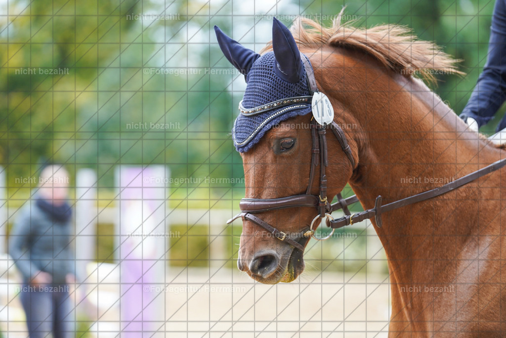 20221009-FAH08839 | Diessen am Ammersee, 2022, Dressur- und Springturnier, Reitsportbilder, Turnierfotografen Bayern, Pferdefotografen, Fotoagentur Herrmann, Turnierbilder