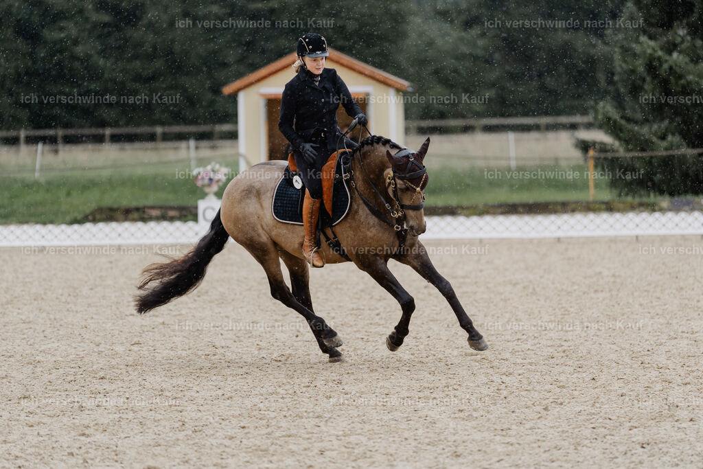 Katja7_FHC2025-8488 | working equitationturnier fotograf videograf stoibphotography marixx film working equitation deutschland reitsport turnierfotografie eventfotografie equestrian events