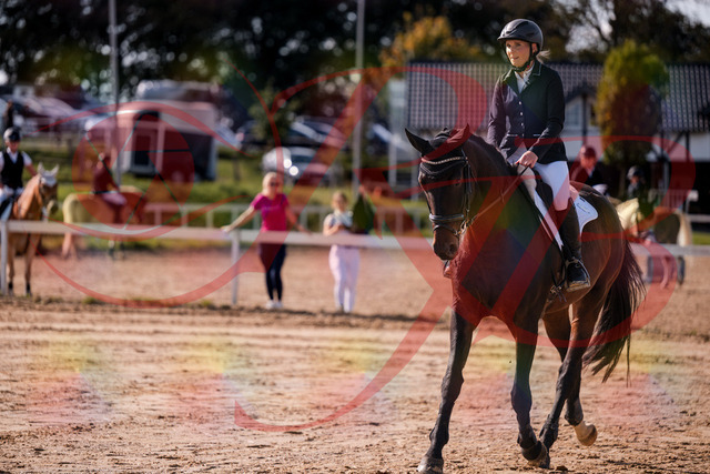 2026_10_03_Siefer-Hof_143912_Z81_09563033 | Professionelle Reitsport-, Turnier- und Eventfotografie von Robert Broda. Galerien mit ausgewählten und bearbeiteten Bildern direkt online ansehen und bestellen.