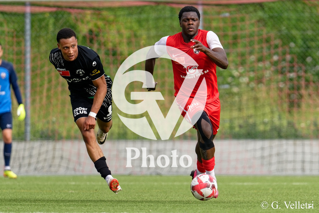 DSC_7629 | Velletri Photo