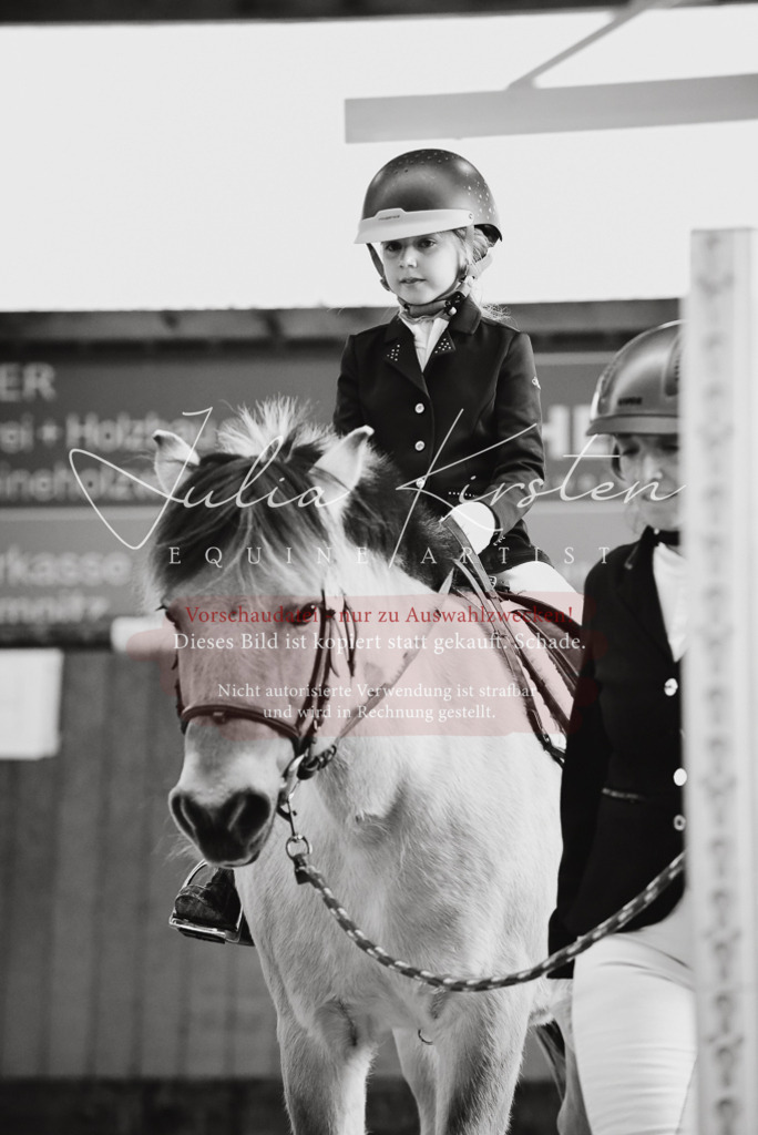 DSC_6850 | Pferde- und Turnierfotografie in Westsachsen. Pferdeportraits, Auftragszeichnungen und intuitive Kunst.