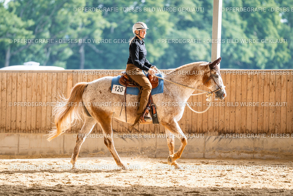 DSC08553 | Pferdegrafie