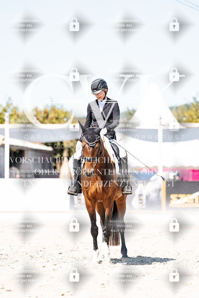 CK900344 | Turnierfotografie Pferdefotografie Trier Rheinland-Pfalz Pferdesport Reitsport Tierfotografie Sportfotografie Pferdevideo Pferdevideografie Equestrianvideography equestrianphotography  - Realisiert mit Pictrs.com