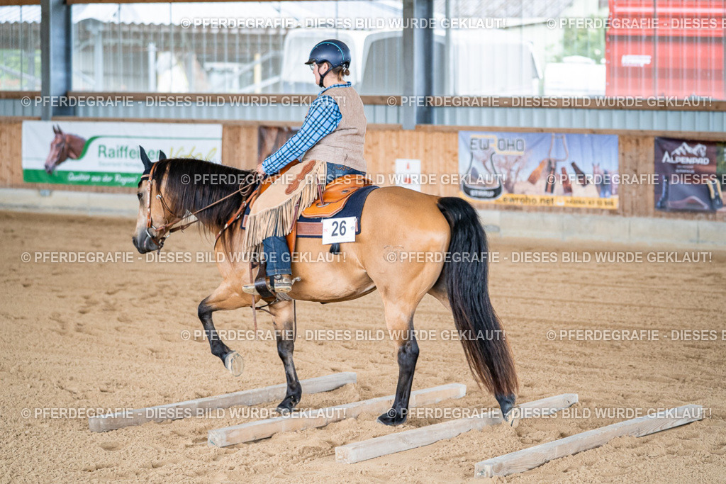 DSC08225 | Pferdegrafie