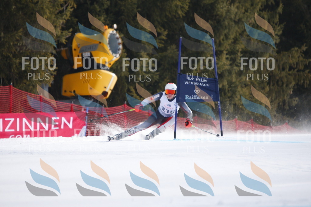 D8303 | holidayphoto