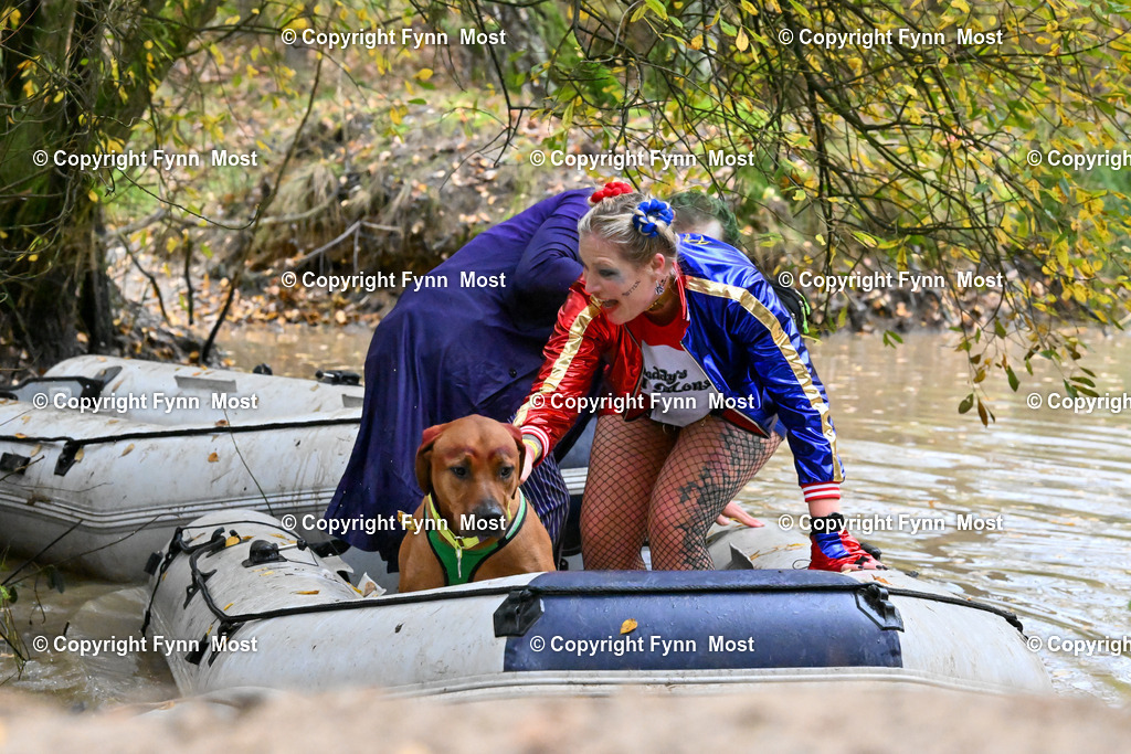 DSC_5913 | Hallo und herzlich Willkommen auf meiner Shop-Seite Fynn Most.

Ich wünsche Dir viel Spaß beim stöbern durch die Bilder, wenn Du Fragen hast oder Bilder vermisst, kannst du mir gerne eine Nachricht schreiben. - Realisiert mit Pictrs.com