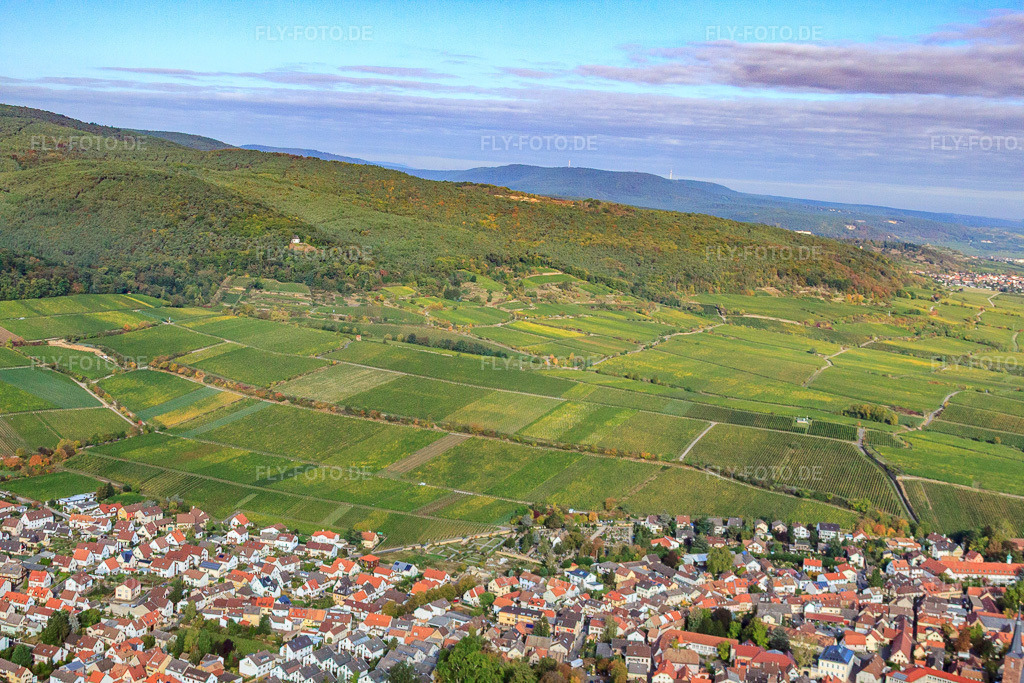 Luftbild: Weinlage Deidesheimer Maushöhle und Hohenmorgen in Deidesheim im Bundesland Rheinland-Pfalz in Deutschland. Foto: IMG_22016.jpg vom 15.10.2009 durch Werner Riehm/FLY-FOTO.de