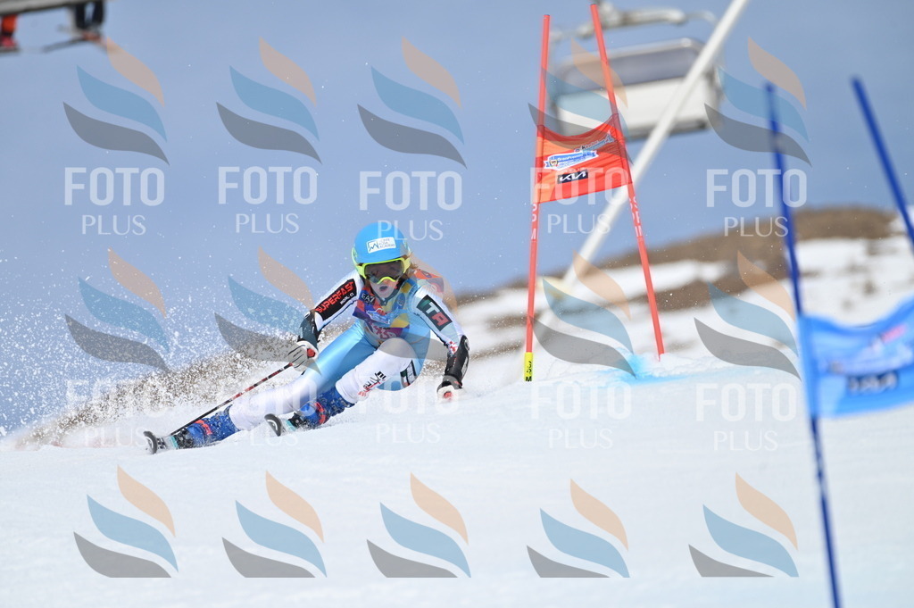 BGV_1785 | holidayphoto