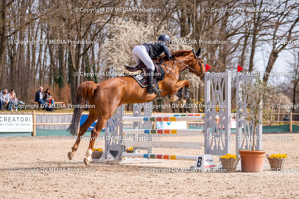 Kranichstein Tag 1-609 | dv-media-shop - Realisiert mit Pictrs.com