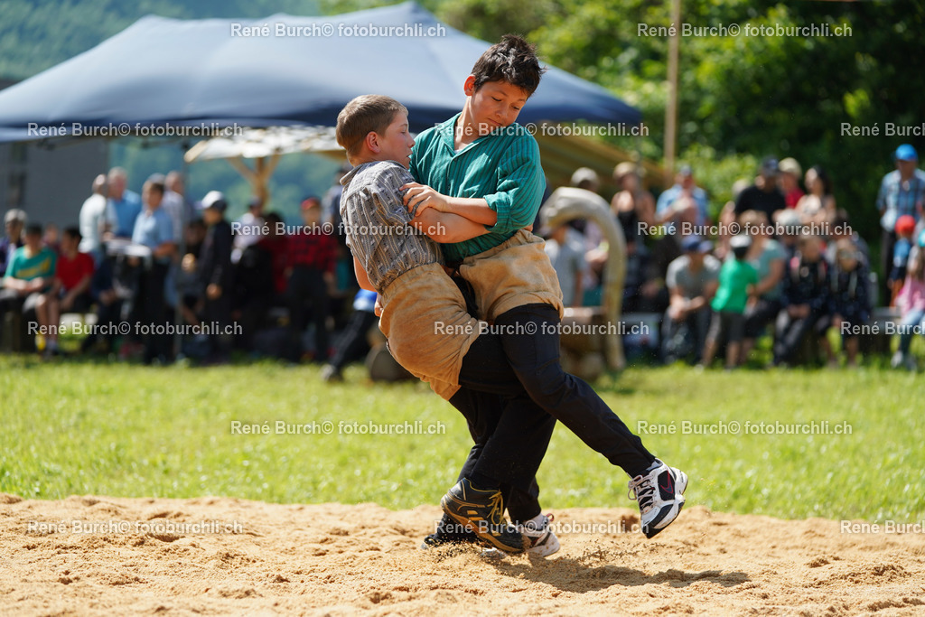 20220606-DSC09620 (2) | René Burch leidenschaftlicher Fotograf aus Kerns in Obwalden.  Hier finden sie Sport, Landschaft und Natur Fotografie.
 - Realisiert mit Pictrs.com