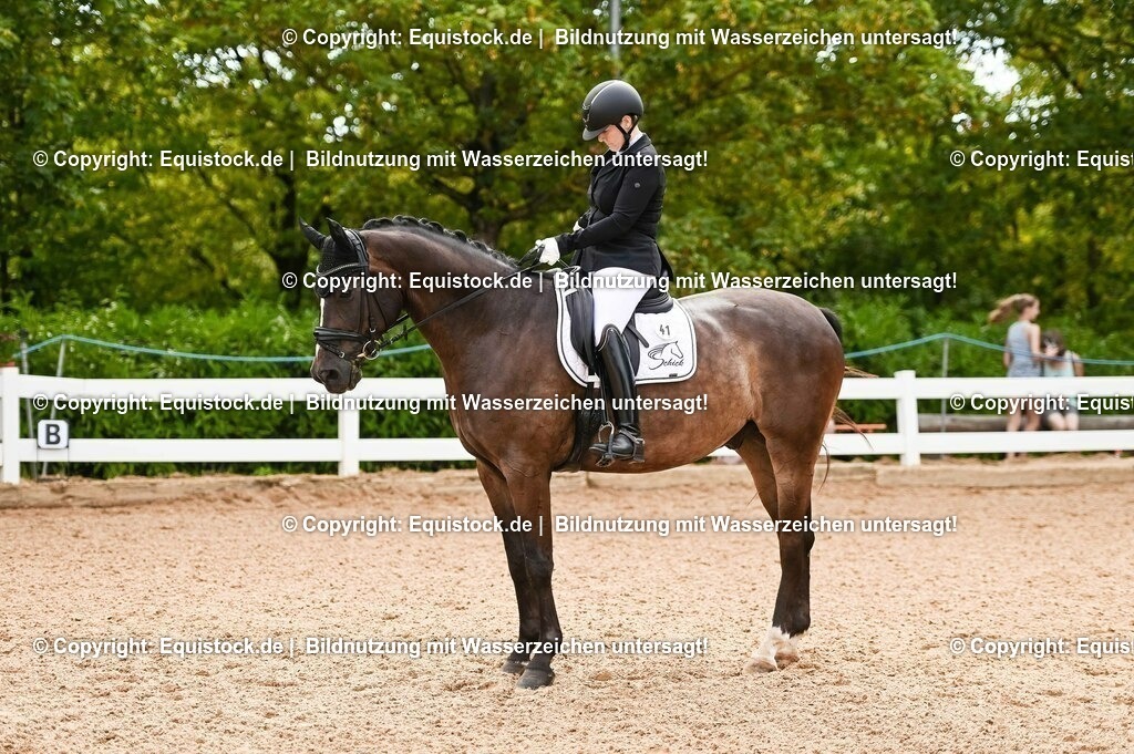 20230715_07_Dressurpferdeprfg. Kl.L_0103 | equistock