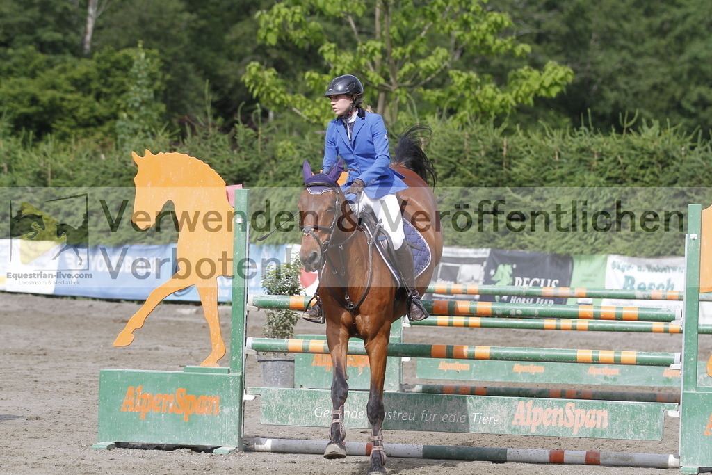 _MG_3431 | equestrian-live-com