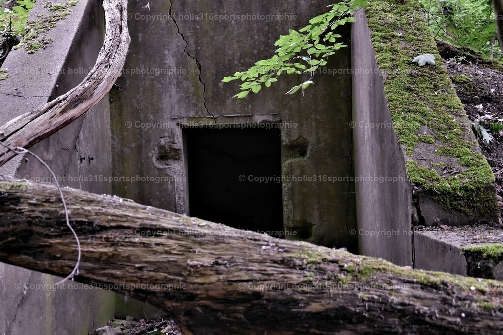 DSC_0014 (2) | Sportfotografie , Motorsport, Motoross, Reitsport, Mointainbike, Enduro,
Landschaft , Outdoor, Eventfotografie, Landschaft, Bilder online bestellen - Realisiert mit Pictrs.com