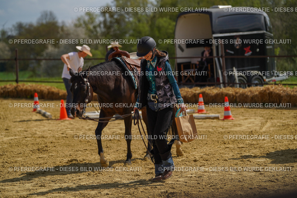 DSC04824 | Pferdegrafie