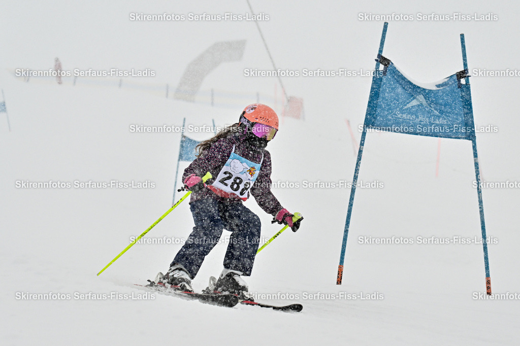 SRF_19.02.2026_0509 | SRF_19.02.2026_0509 - Realisiert mit Pictrs.com